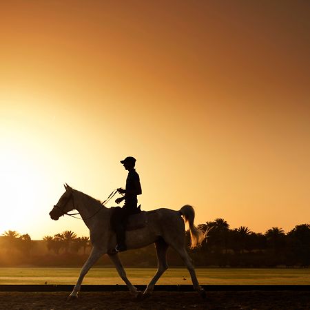 Melia Desert Palm Member Of Melia Collection Dubaj Kültér fotó A horse and rider at sunrise