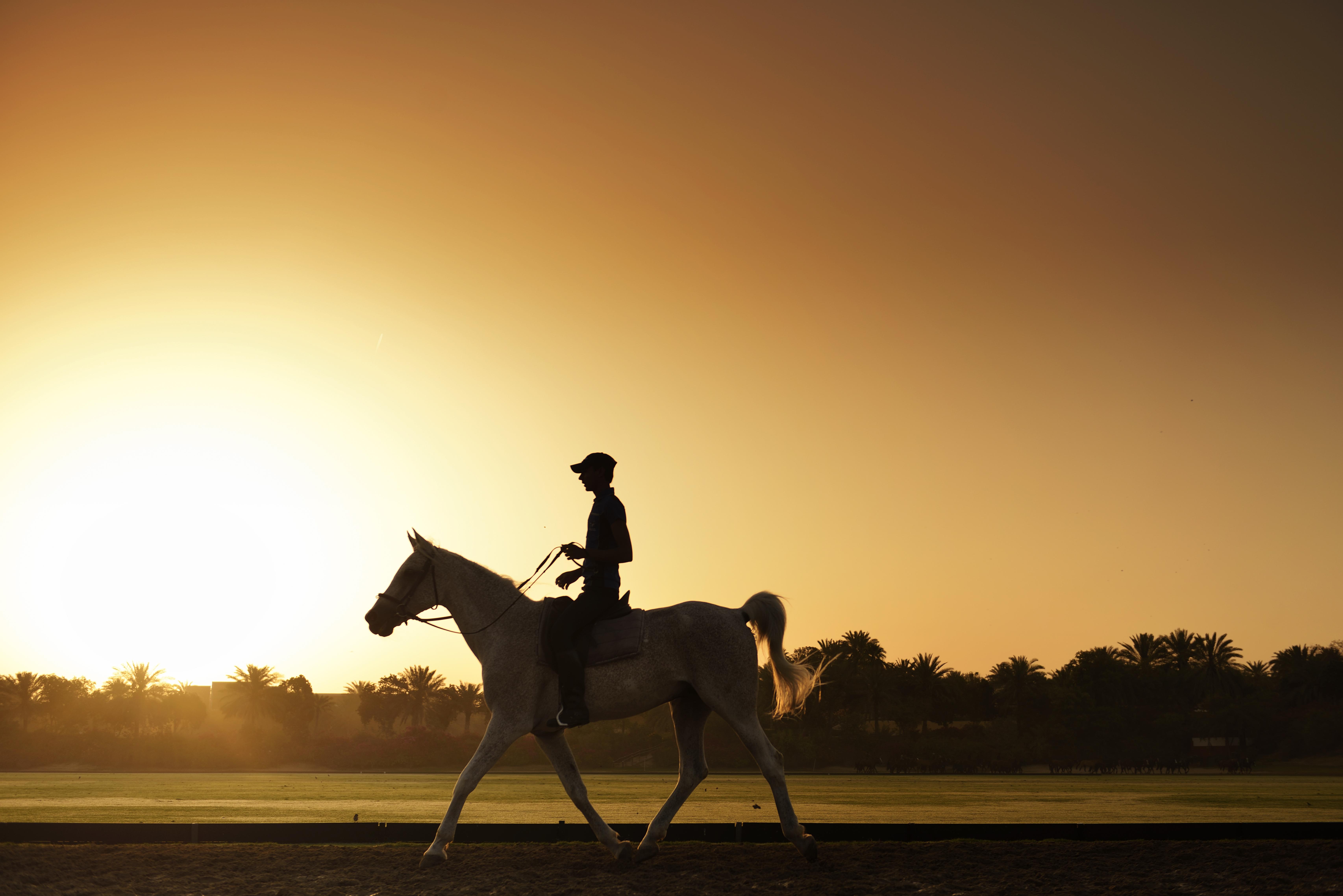 Melia Desert Palm Member Of Melia Collection Dubaj Kültér fotó A horse and rider at sunrise