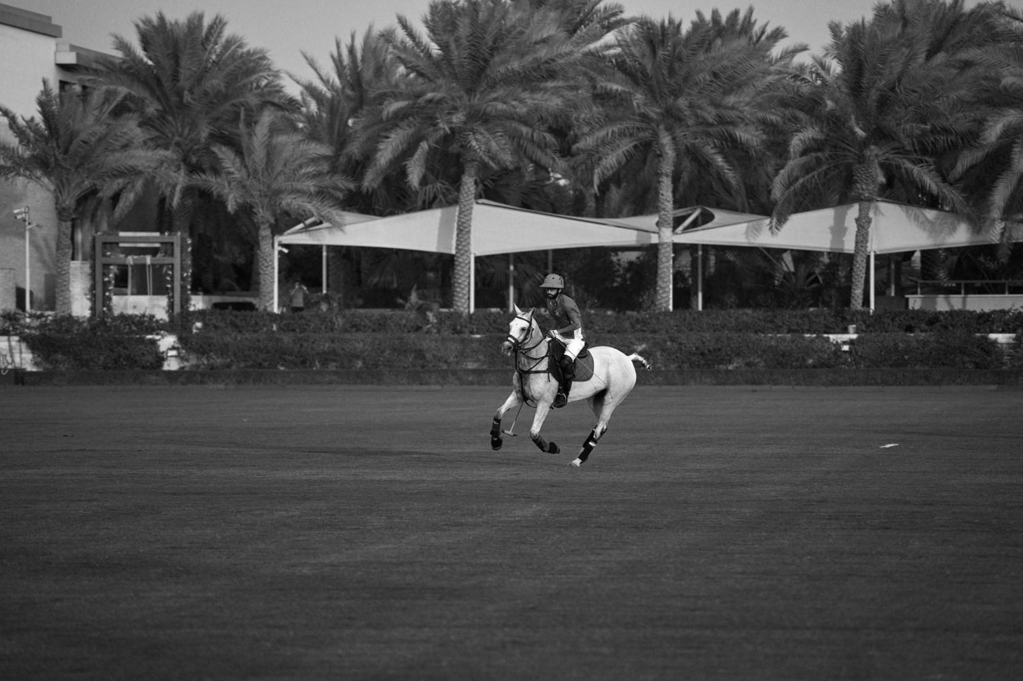 Melia Desert Palm Member Of Melia Collection Dubaj Kültér fotó A horse in Al-Shaqra