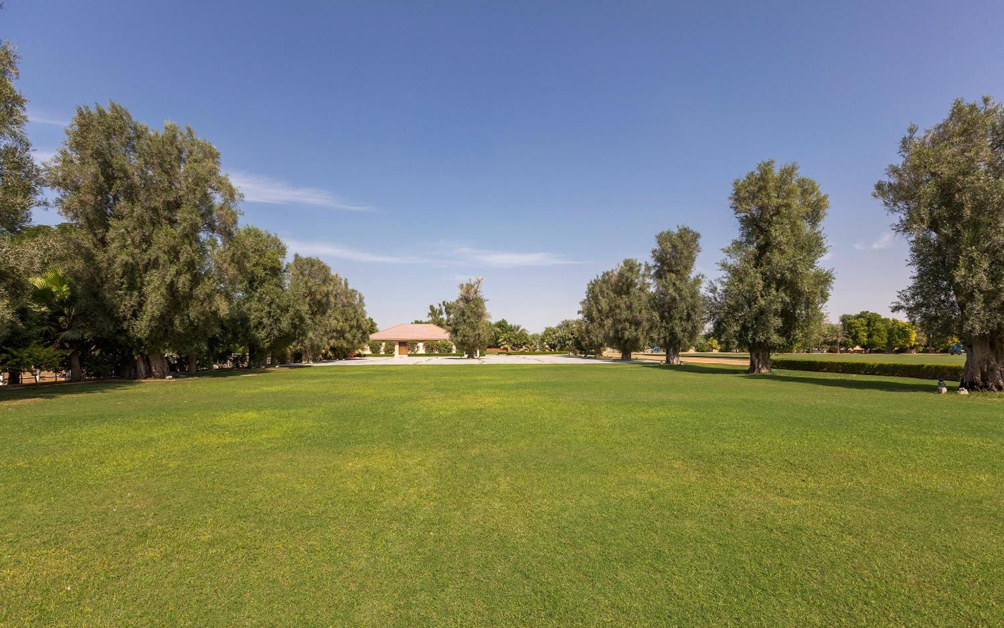 Melia Desert Palm Member Of Melia Collection Dubaj Kültér fotó Al-Shaab Park
